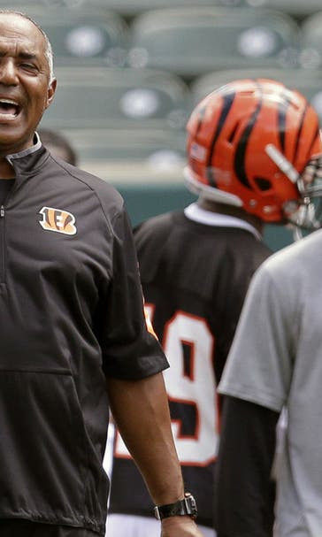Coach Houshmandzadeh bringing experience to Bengals